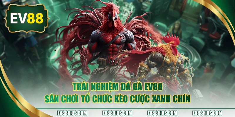 Đá gà EV88